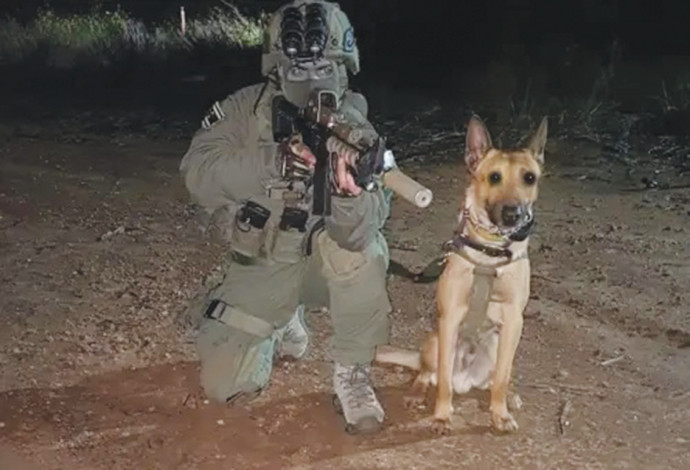 לוחם ימ"מ וכלבו  (צילום:  דוברות המשטרה)