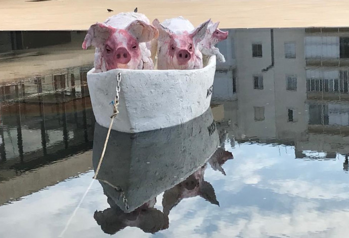 מיצג החזירים ברחבת הבימה בת"א  (צילום:  אבשלום ששוני)