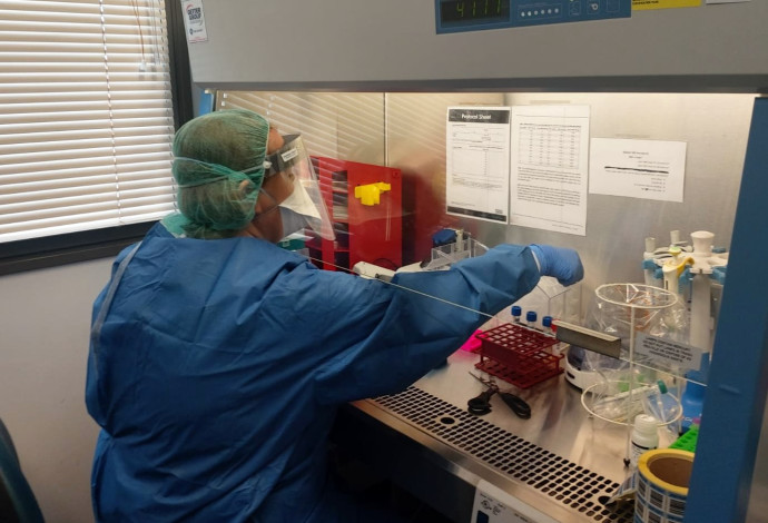 בדיקות קורונה במעבדה למיקרוביולוגיה במרכז הרפואי פדה-פוריה (צילום:  דוברות בית החולים פוריה)