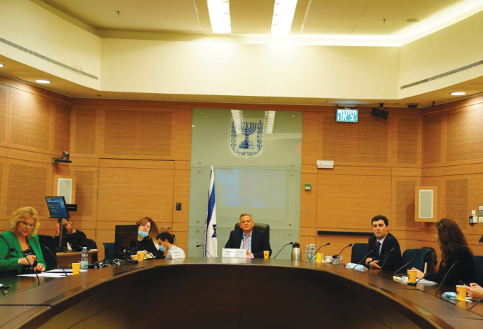 ועדת החינוך של הכנסת (צילום:  עדינה ולמן, דוברות הכנסת)