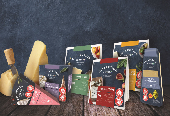 עולם של גבינות (צילום:  Shutterstock)