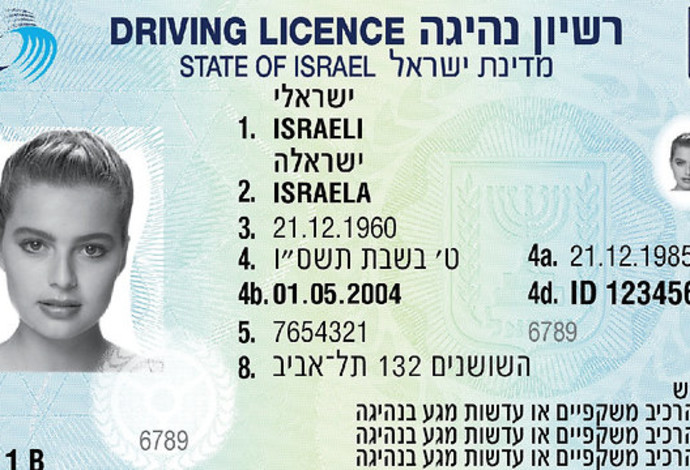 רישיון נהיגה (אילוסטרציה) (צילום:  משרד התחבורה)