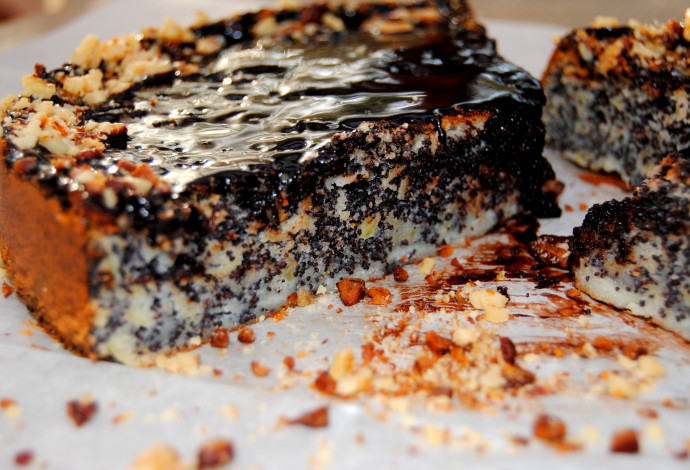 עוגת פרג ושוקולד  (צילום:  פסקל פרץ-רובין)