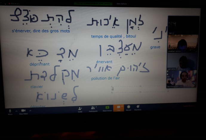 לימודי עברית מקוונים  (צילום:  ההסתדרות הציונית העולמית)
