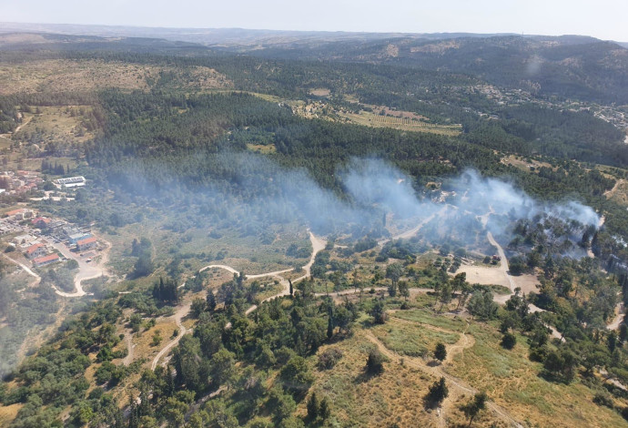 שריפה ביער הנשיא (צילום:  דוברות כבאות והצלה)