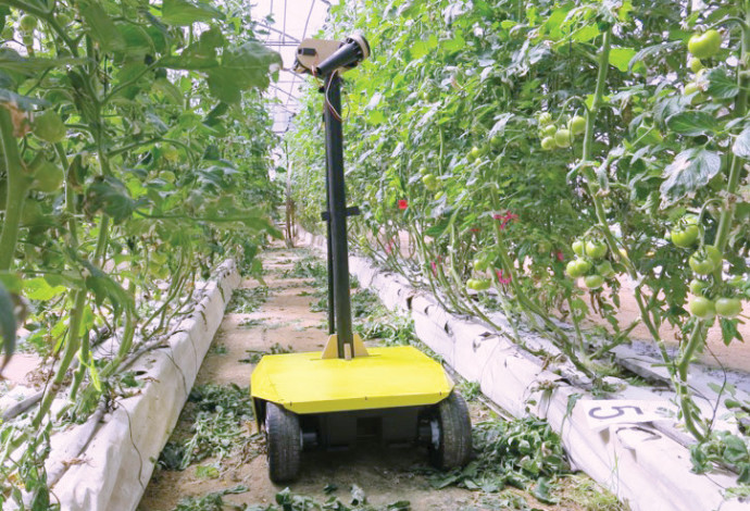 רובוט האבקה לחקלאות (צילום:  כפר הנוער החקלאי מקוה ישראל)