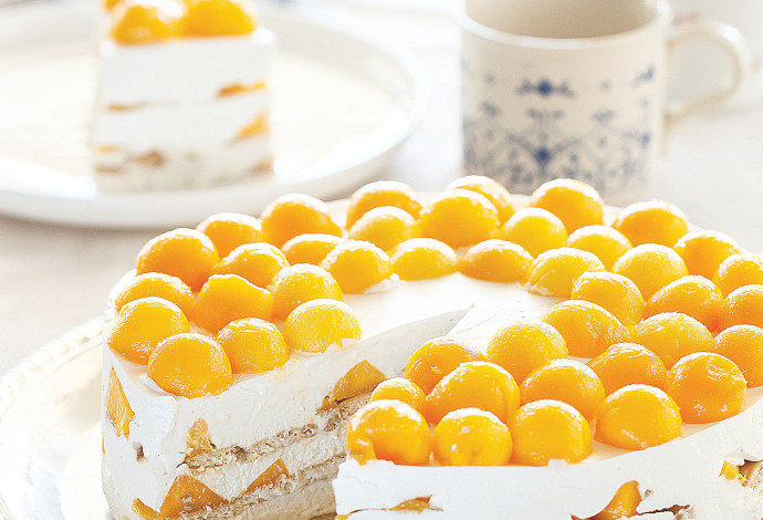 עוגת גבינה מנגו (צילום:  חן שוקרון)