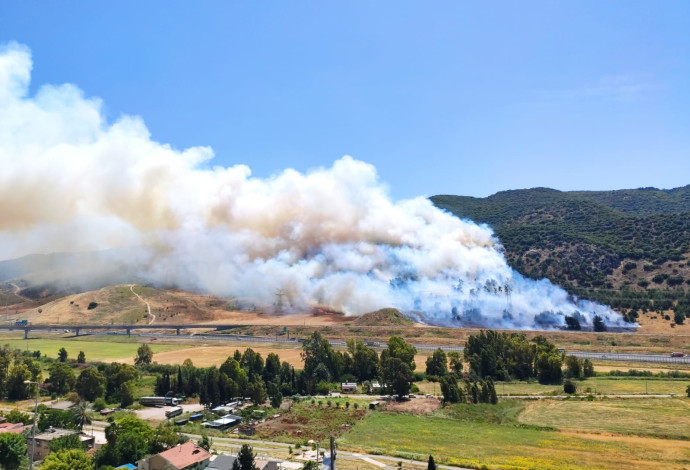 השריפה באזור קרית חרושת (צילום:  שקד קגן)