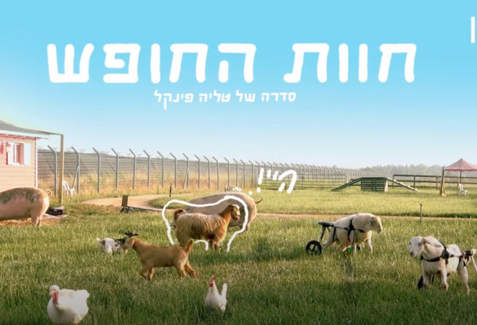 הסדרה "חוות החופש" (צילום:  צילום מסך "כאן")