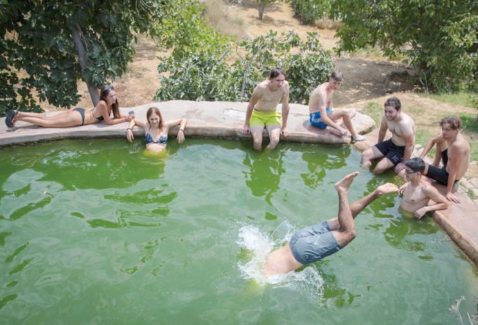 רוחצים במעיין עין לבן בירושלים (צילום:  אוליבייה פיטוסי, פלאש 90)