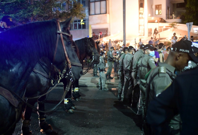 סוסים בהפגנה בתל אביב (צילום:  אבשלום ששוני)