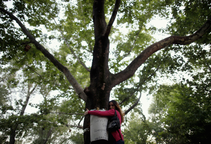 אישה מחבקת עץ, אילוסטרציה (צילום:  רויטרס)