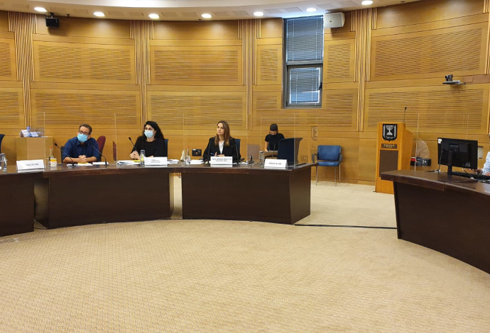 הדיון בוועדת הקורונה (צילום:  דוברות ח"כ יפעת שאשא-ביטון)