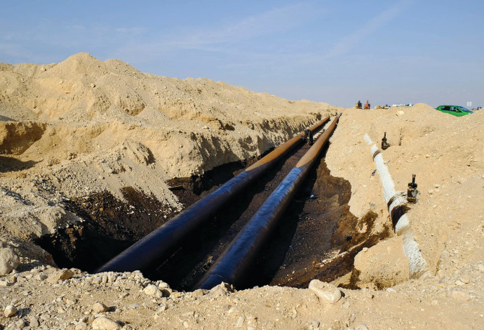 צינור הנפט (צילום:  חן ליאופולד)