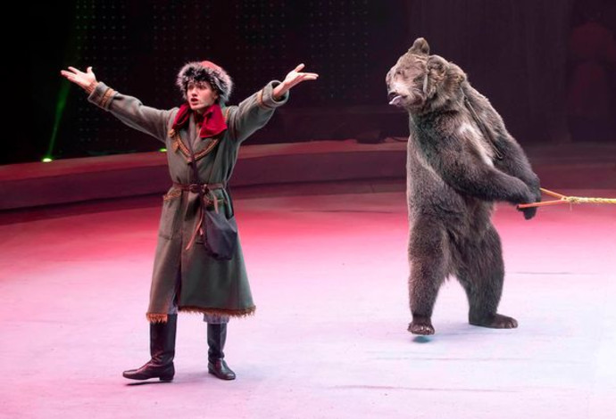 הדוב והמאלף בקרקס ברוסיה (צילום:  האתר הרשמי של הקרקס - The Great Moscow Circus)