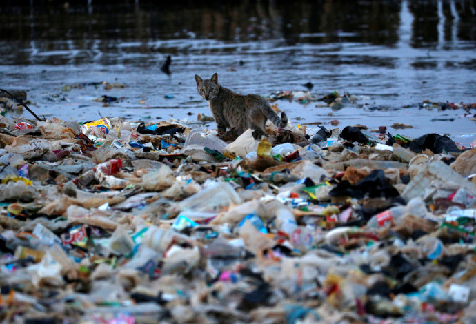 אשפת פלסטיק מציפה את הים (צילום:  רויטרס)