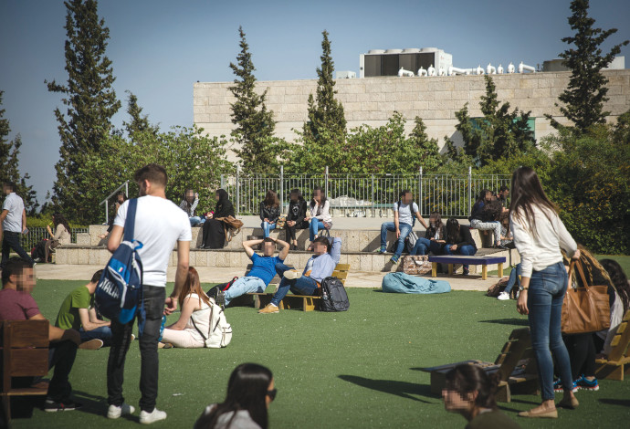 סטודנטים באוניברסיטת חיפה (צילום:  הדס פרוש)