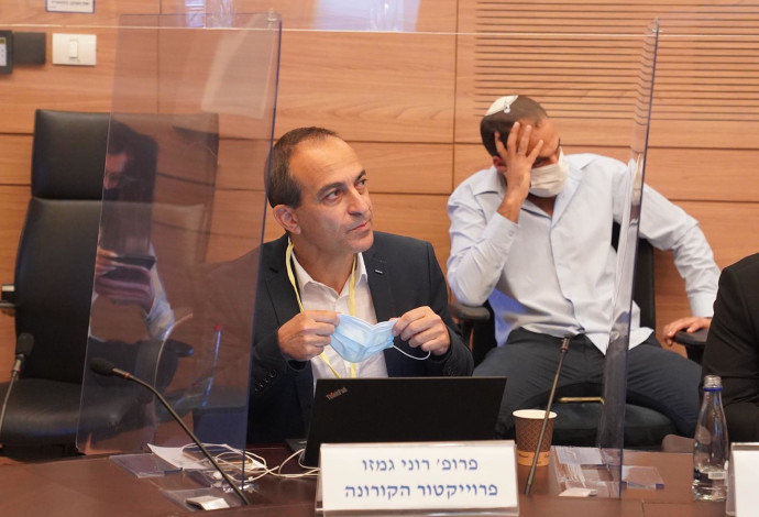 פרופ' גמזו בדיון ועדת העבודה והרווחה (צילום:  שמוליק גרוסמן, דוברות הכנסת)