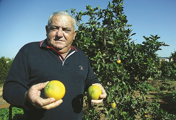 שלמה שרף (צילום: נאור רהב)