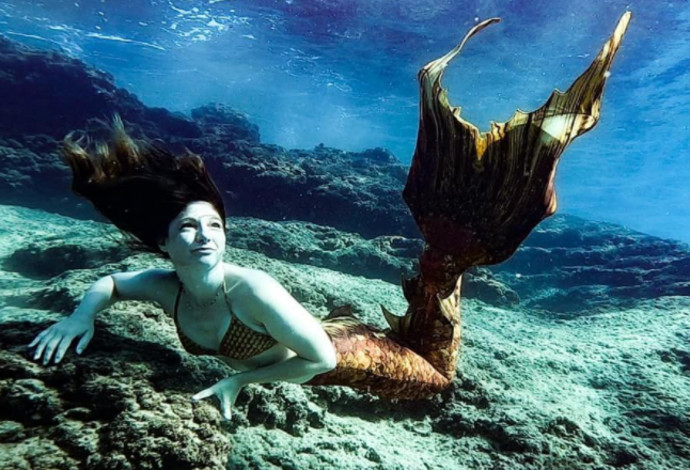 שיר פרג שוחה עם סנפיר מתחת למים  (צילום:  אריק זינגר)