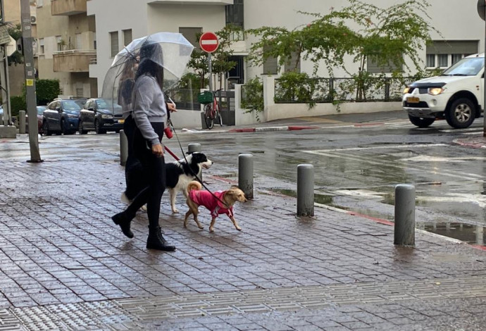 גשם בתל אביב (צילום:  אבשלום ששוני)