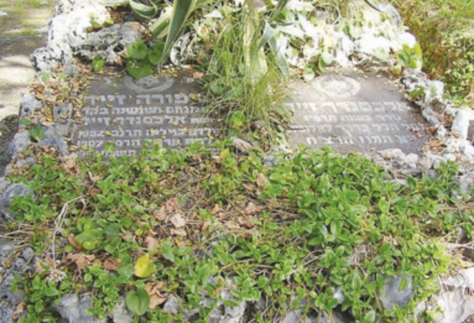 קברם של אלכסנדר זייד ואשתו (צילום:  אבישי טייכר)