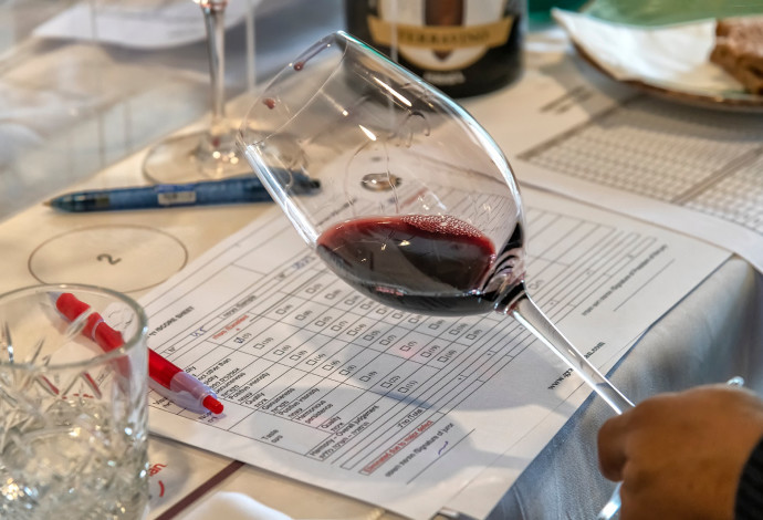 תחרות היין טרהוינו 2020 (צילום:  אייל גוטמן)