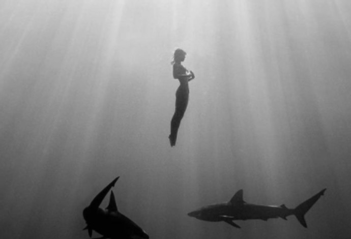 דוגמנית הפלייבוי ששחתה עם כרישים בעירום (צילום:  רשתות חברתיות)