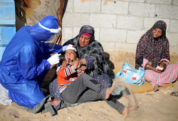 בדיקת קורונה בעזה (צילום:  REUTERS/Ibraheem Abu Mustafa)