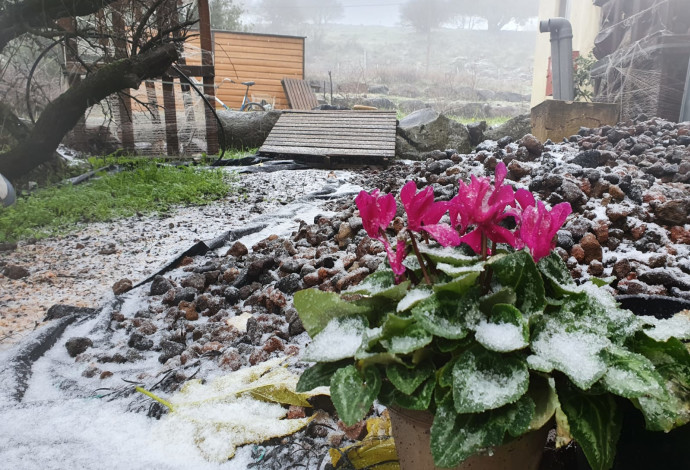 שלג ראשון לעונה במרום גולן (צילום:  דוברות מועצה אזורית גולן)