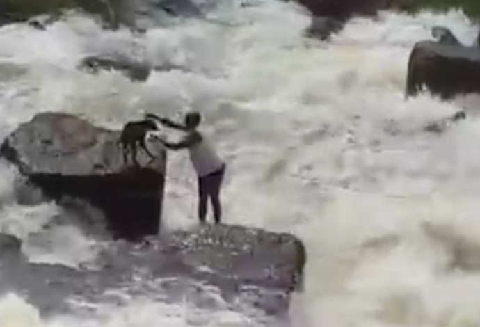 חילוץ הכלב מתוך הנהר (צילום:  צילום מסך מתוך הפייסבוק)