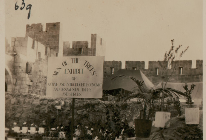 הכרזה מתקופת המנדט (צילום:  באדיבות בוקי בועז, מוזיאון מגדל דוד)