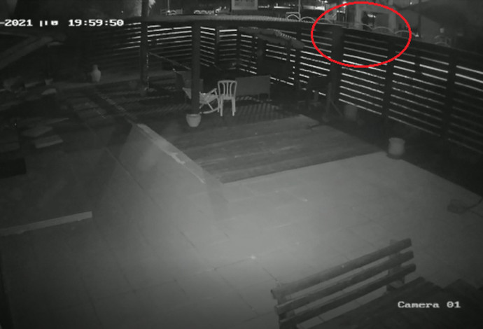 הפורץ מתגנב אל הנכס (צילום:  צילום מסך,מצלמות אבטחה)