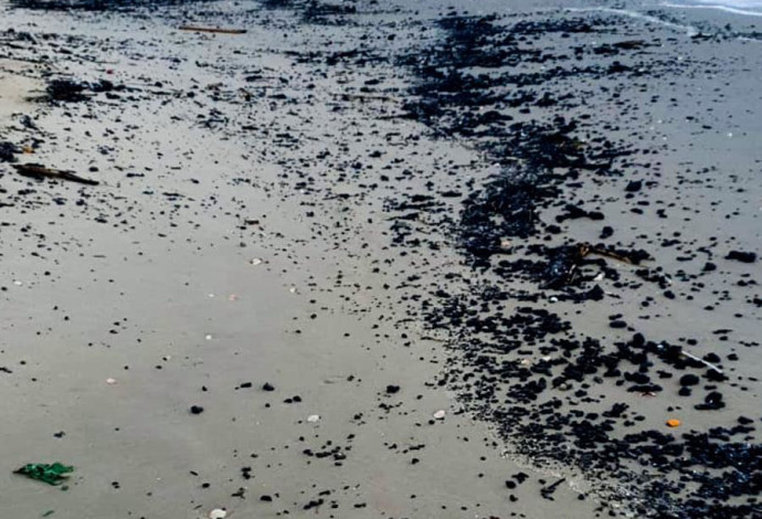 זפת טרייה על פני החוף (צילום:  באדיבות עמותת "צלול")