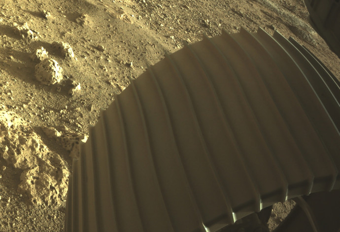 מאדים ממצלמת הגשושית פרסרוונס (צילום:  NASA/JPL-Caltech/Handout via REUTERS)