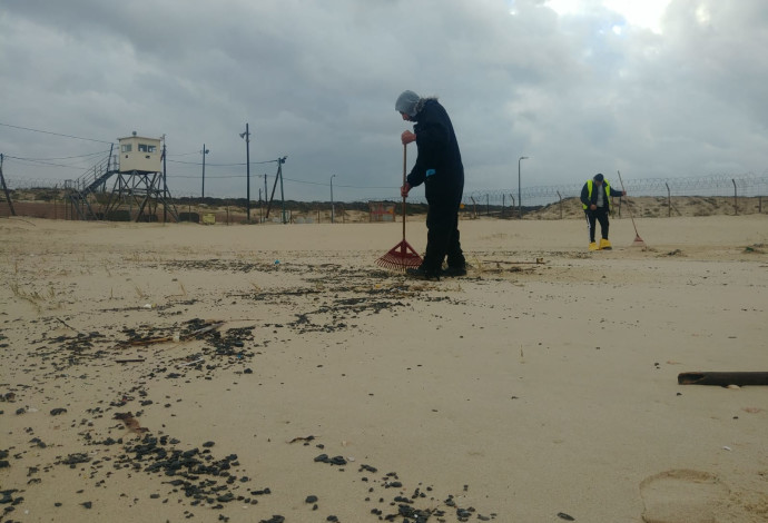 ניקוי בחוף ראשון לציון (צילום:  דרור אריאלי, המשרד להגנת הסביבה)