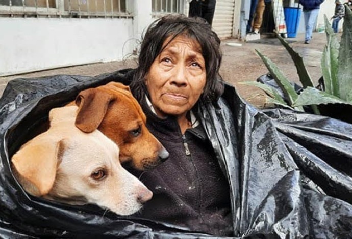 "החולה" שחיה ברחוב עם ששת כלביה (צילום:  רשתות חברתיות)