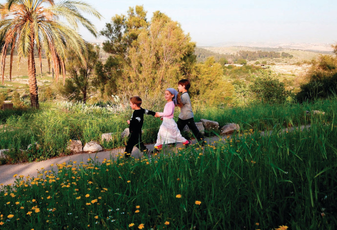 פורים בנאות קדומים (צילום:  אלדד מאסטרו)