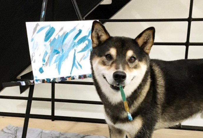 האנטר, הכלב המצייר (צילום:  רשתות חברתיות)