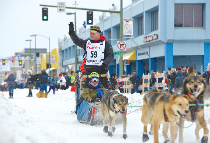 מירוץ הכלבים באלסקה (צילום:  רויטרס)