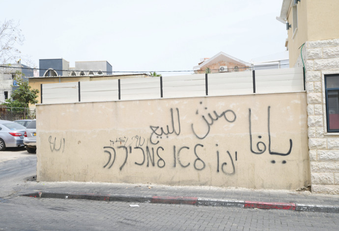 "יפו לא למכירה". כתובת גרפיטי בשכונת עג'מי ביפו (צילום:  אבשלום ששוני)