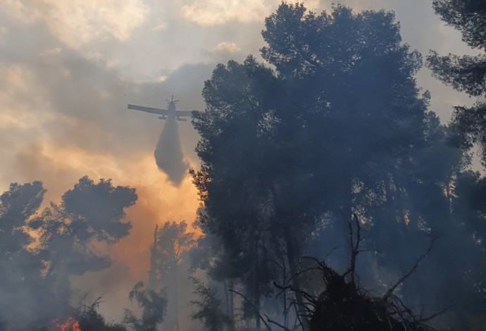 כיבוי השריפה ביער קולה (צילום:  דוברות כיבוי והצלה)