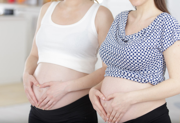 שתי נשים בהיריון, אילוסטרציה (צילום:  ingimage ASAP)