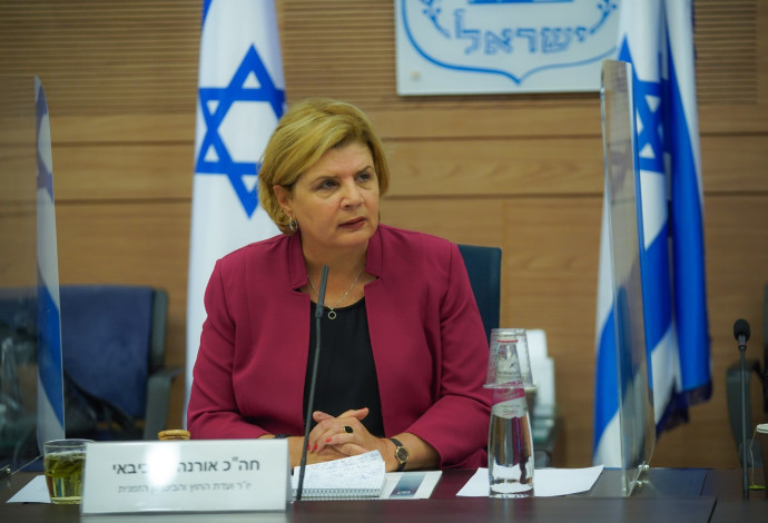 אורנה ברביבאי בוועדת החוץ והביטחון (צילום:  דוברות הכנסת, נועם מושקוביץ)