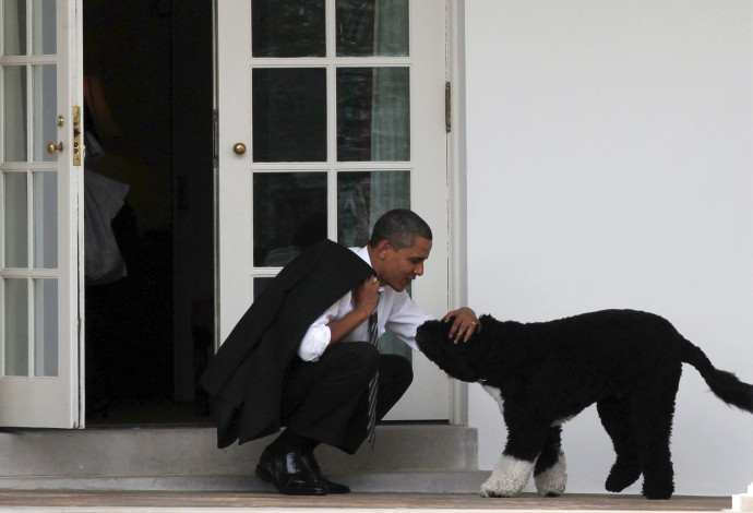 ברק אובמה והכלב בו (צילום:  רויטרס)