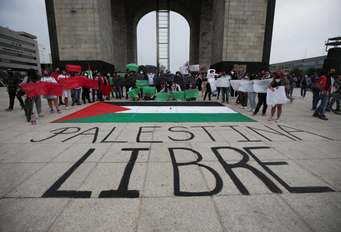 הפגנות פרו פלסטיניות במקסיקו (צילום:  REUTERS/Henry Romero)
