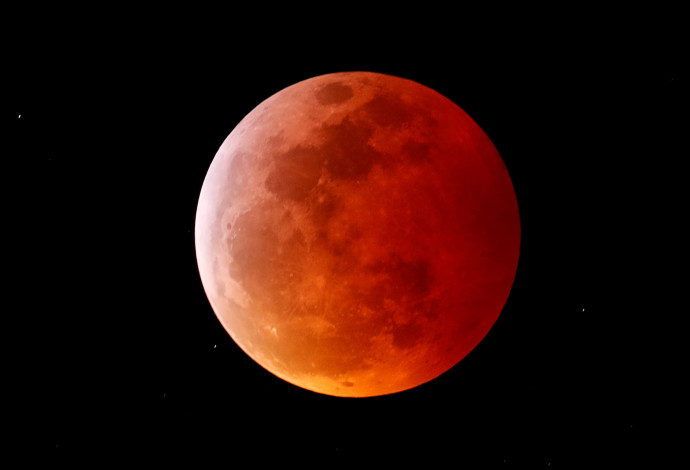 ליקוי הירח מקליפורניה (צילום:  רויטרס)