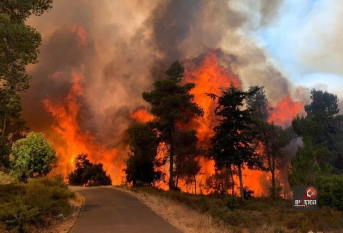 שריפה בהר הרוח בסמוך לנווה אילן (צילום:  קק"ל,טופיק מנסור)