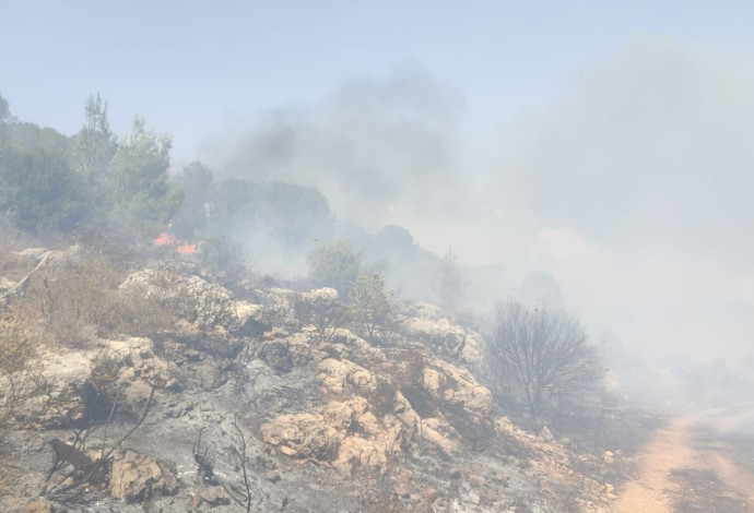 שריפה סמוך לביתר עילית (צילום:  דוברות כבאות והצלה)