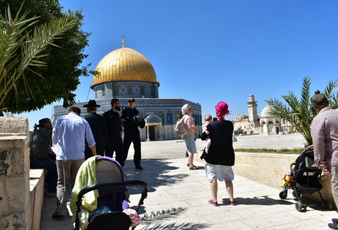 יהודים בהר הבית, ארכיון (צילום אילוסטרציה: מעיין ברבי/TPS. למצולמים אין קשר לנאמר בכתבה)